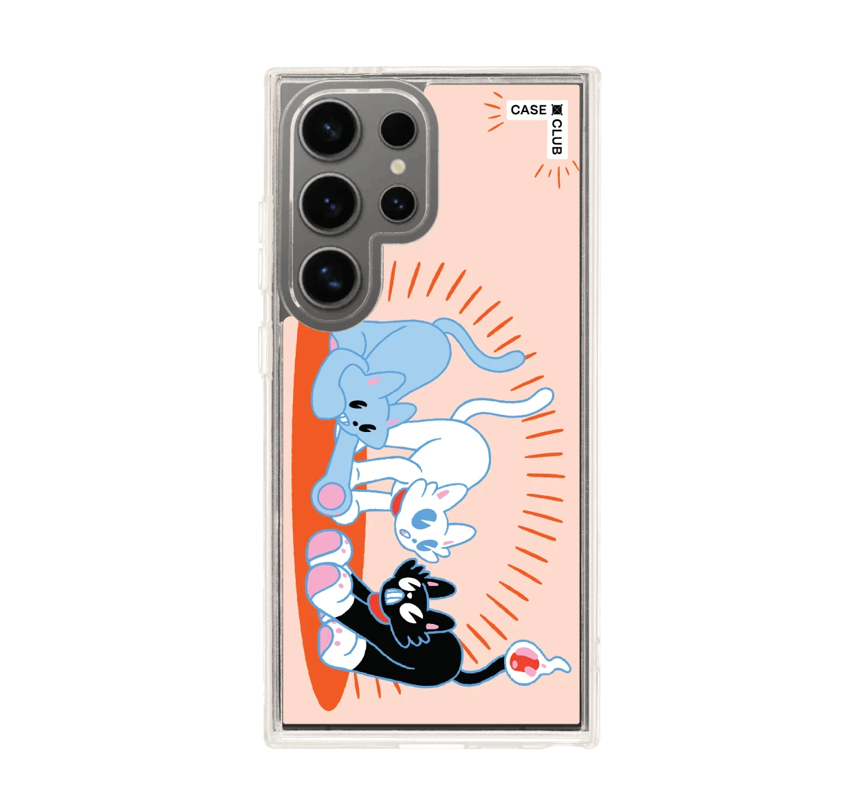 พลังแมวมารวมตัว